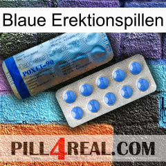 Blue Erection Pills 40